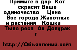 Примите в дар. Кот скрасит Ваше одиночество. › Цена ­ 0 - Все города Животные и растения » Кошки   . Тыва респ.,Ак-Довурак г.